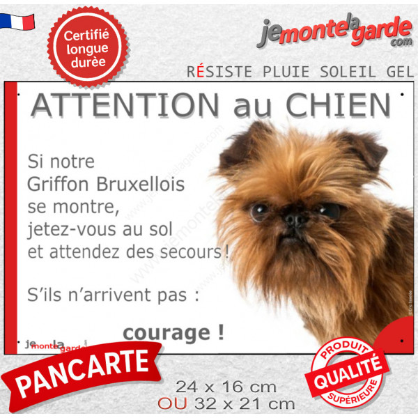 Griffon Bruxellois rouge, plaque portail humour "Attention au Chien, Jetez Vous au Sol attendez secours, courage" photo 