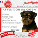 Griffon Belge noir et feu, plaque portail humour "Attention au Chien, Jetez Vous au Sol attendez secours, courage" photo 