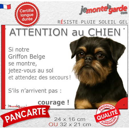 Griffon Belge noir et feu, plaque portail humour "Attention au Chien, Jetez Vous au Sol attendez secours, courage" photo, résist