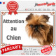 Griffon Bruxellois rouge fauve tête, plaque portail extérieure "Attention au Chien" photo race résiste intempéries