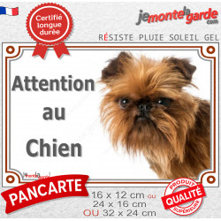 Griffon Bruxellois rouge fauve tête, plaque portail extérieure "Attention au Chien" photo race résiste intempéries