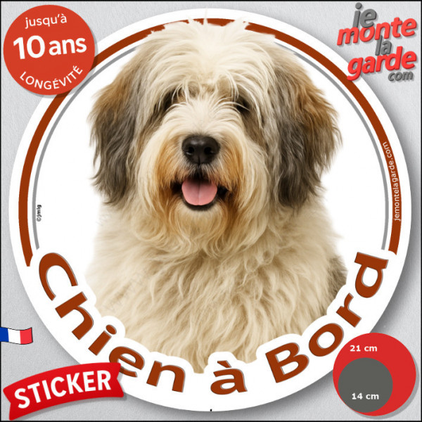 Nizinny Crème charbonné, disque photo autocollant "Chien à Bord" Disque vitre voiture résiste intempéries