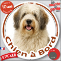 Nizinny Crème, disque photo autocollant voiture "Chien à Bord" 2 tailles D