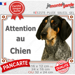 Bleu de Gascogne, plaque extérieure portail "Attention au Chien" photo résiste intempéries