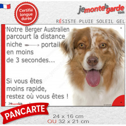 Berger Australien Rouge Merle, plaque humour "distance Niche-Portail en moins de 3 secondes" photo Aussie résiste intempéries