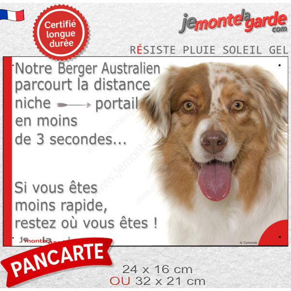 Berger Australien Rouge Merle, plaque humour "distance Niche-Portail en moins de 3 secondes" photo Aussie résiste intempéries