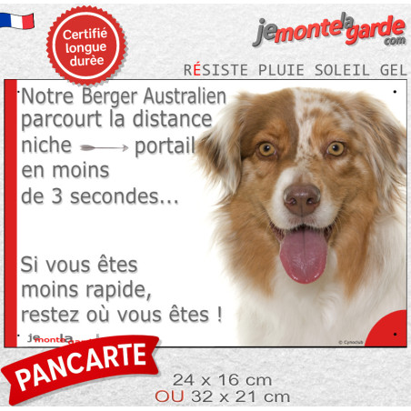 Berger Australien Rouge Merle, plaque humour "distance Niche-Portail en moins de 3 secondes" photo Aussie résiste intempéries