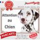 Dalmatien marron foie, plaque portail extérieure "Attention au Chien" photo résiste intempéries