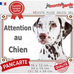 Dalmatien marron foie, plaque portail extérieure "Attention au Chien" photo résiste intempéries