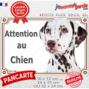 Dalmatien foie, plaque portail photo "Attention au Chien" 3 tailles LUX D