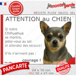 Chihuahua bleu et feu poil court, plaque humour "Jetez Vous au Sol, Attention au Chien" 2 tailles JET D