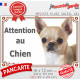 Chihuahua beige à poils courts Tête, plaque portail "Attention au Chien" pancarte panneau sable photo
