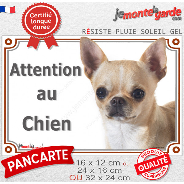 Chihuahua beige à poils courts Tête, plaque portail "Attention au Chien" pancarte panneau sable photo