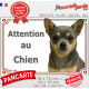 Chihuahua bleu et tan feu à poils courts Tête, plaque portail extérieure "Attention au Chien" photo résiste intempéries
