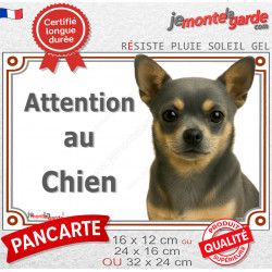 Chihuahua bleu et feu poils courts, plaque portail photo "Attention au Chien" 3 tailles LUX D