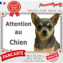 Chihuahua bleu et feu poils courts, plaque portail photo "Attention au Chien" 3 tailles LUX D