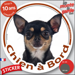 Chihuahua noir et feu poil courts, sticker voiture photo "Chien à Bord" 2 tailles D
