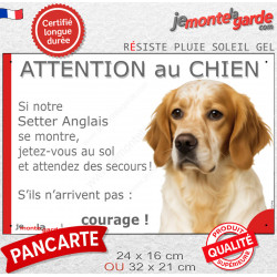 Setter Anglais belton orange, plaque extérieure humour "Attention au Chien, Jetez Vous au Sol, attendez secours, courage" photo