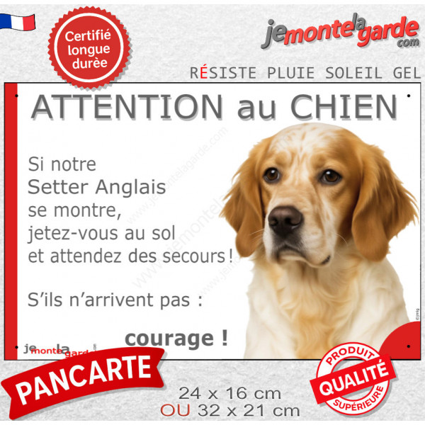 Setter Anglais belton orange, plaque extérieure humour "Attention au Chien, Jetez Vous au Sol, attendez secours, courage" photo