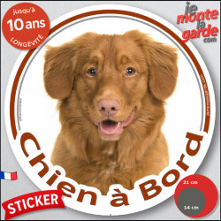 Nova Scotia Retriever Tête, sticker autocollant rond "Chien à Bord" Disque photo adhésif vitre voiture Duck Tolling