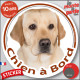 Labrador sable, sticker autocollant rond "Chien à Bord" Disque photo adhésif vitre voiture résiste intempéries