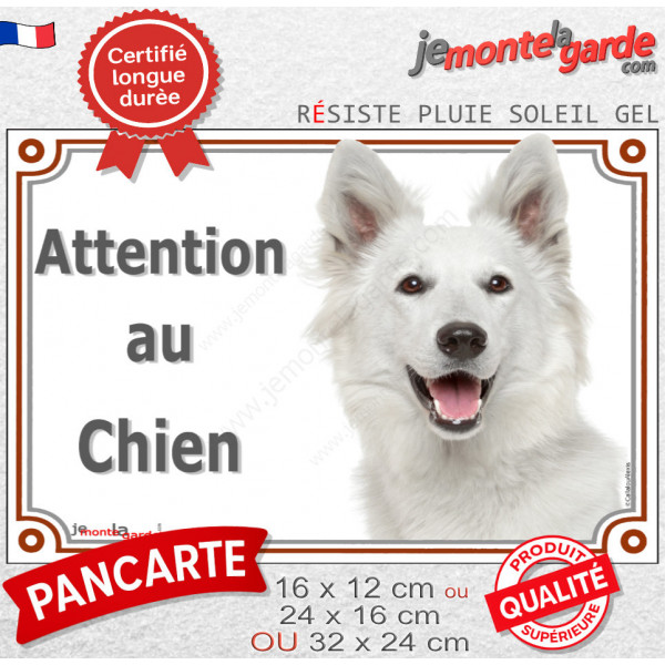Berger Blanc Suisse Tête, plaque portail extérieure "Attention au Chien" photo résiste intempéries