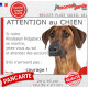 Rhodesian Ridgeback, plaque portail humour "Attention au Chien, Jetez Vous au Sol, attendez secours, courage" pancarte photo