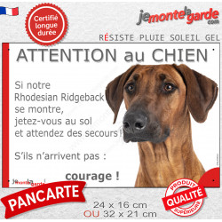 Rhodesian Ridgeback, plaque portail humour "Attention au Chien, Jetez Vous au Sol, attendez secours, courage" pancarte photo