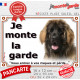 Leonberg fauve masque noir, plaque portail extérieur "Je Monte la Garde, risques périls" photo race résiste intempéries