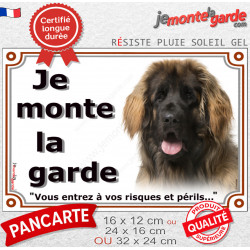 Leonberg fauve masque noir, plaque portail extérieur "Je Monte la Garde, risques périls" photo race résiste intempéries
