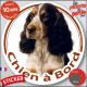 Cocker Anglais tricolore noir, blanc et feu, disque photo autocollant "Chien à Bord" Sticker adhésif rond vitre voiture résiste 