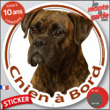 Boxer bringé, sticker voiture rond "Chien à Bord" 2 tailles D