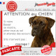 Boxer bringé, plaque portail extérieur humour "Attention au Chien, montre, Jetez Vous au Sol, courage" photo résiste intempéries