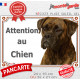 Boxer bringé, plaque portail extérieure "Attention au Chien" pancarte panneau photo Boxeur marron zébré