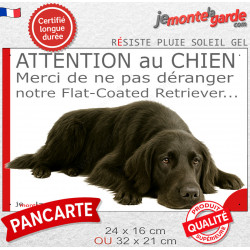 Plaque portail humour extérieure "Attention au Chien, Merci de ne pas déranger notre Flat-Coated Retriever" Photo résiste soleil