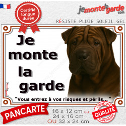 Shar-Peï marron chocolat, plaque portail "Je Monte la Garde, risques périls" photo Sharpei brun résiste intempéries