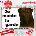 Shar-Peï marron chocolat, plaque portail "Je Monte la Garde, risques périls" 3 Tailles LUX D