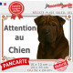 Shar-Peï marron chocolat, plaque portail "Attention au Chien" photo Sharpei brun résiste intempéries