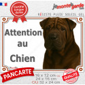 Shar-Peï marron chocolat, plaque portail photo extérieure "Attention au Chien" 3 tailles LUX D