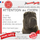 Shar-Peï lilas chocolat dilué, plaque humour "Attention au Chien, Jetez Vous au Sol, courage" photo résiste intempéries