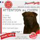 Shar-Peï marron chocolat, plaque humour "Attention au Chien, Jetez Vous au Sol, courage" photo résiste intempéries