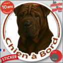 Shar-Peï marron chocolat, disque photo autocollant voiture "Chien à Bord" 2 tailles D