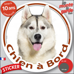 Husky Sibérien gris et blanc, sticker autocollant rond "Chien à Bord" Disque adhésif vitre voiture photo Huskies yeux marron