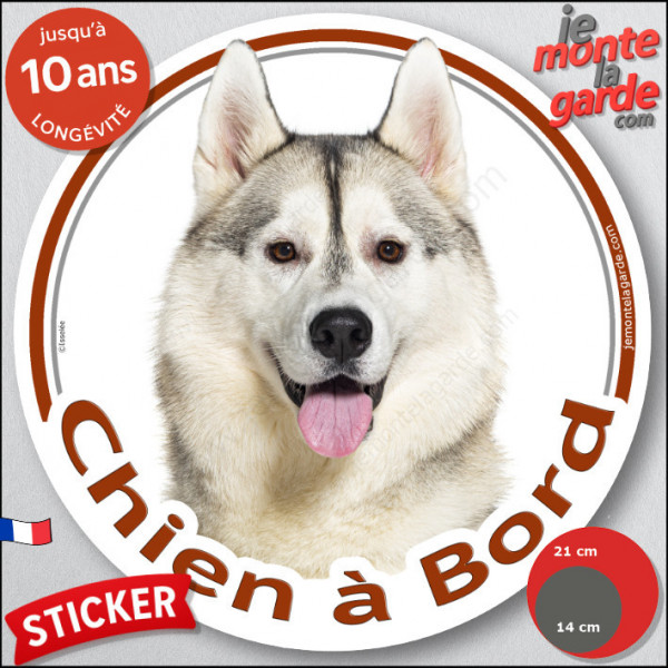 Husky Sibérien gris et blanc, sticker autocollant rond "Chien à Bord" Disque adhésif vitre voiture photo Huskies yeux marron