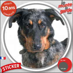 Beauceron Arlequin, sticker autocollant rond "photo" résiste intempéries, disque adhésif chien Berger de Beauce bleu merle