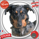 Beauceron Arlequin, disque sticker "photo" 2 tailles, résiste intempéries