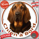 Saint-Hubert noir et feu, sticker autocollant rond "Chien à Bord" Disque adhésif voiture auto st-hubert photo résiste intempérie