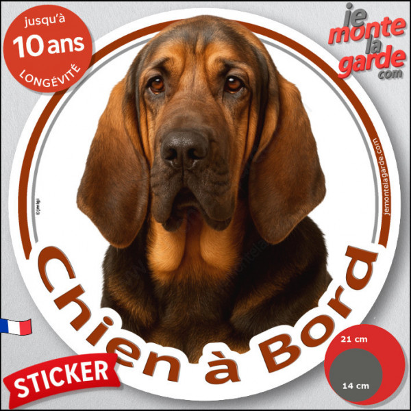 Saint-Hubert noir et feu, sticker autocollant rond "Chien à Bord" Disque adhésif voiture auto st-hubert photo résiste intempérie