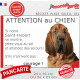 Saint-Hubert, plaque humour portail "Attention au Chien, Jetez Vous au Sol, courage" photo résiste intempéries