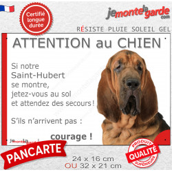 Saint-Hubert, plaque humour portail "Attention au Chien, Jetez Vous au Sol, courage" photo résiste intempéries